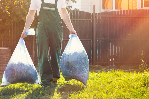 Best Dumpster Rental Services  in Ripley, WV